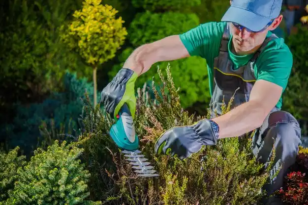 landscaping services Bayville